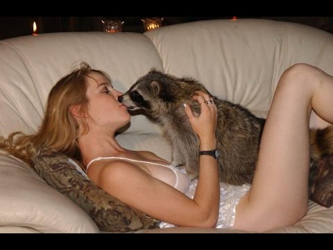 Лучший топ приколов с животными 2015