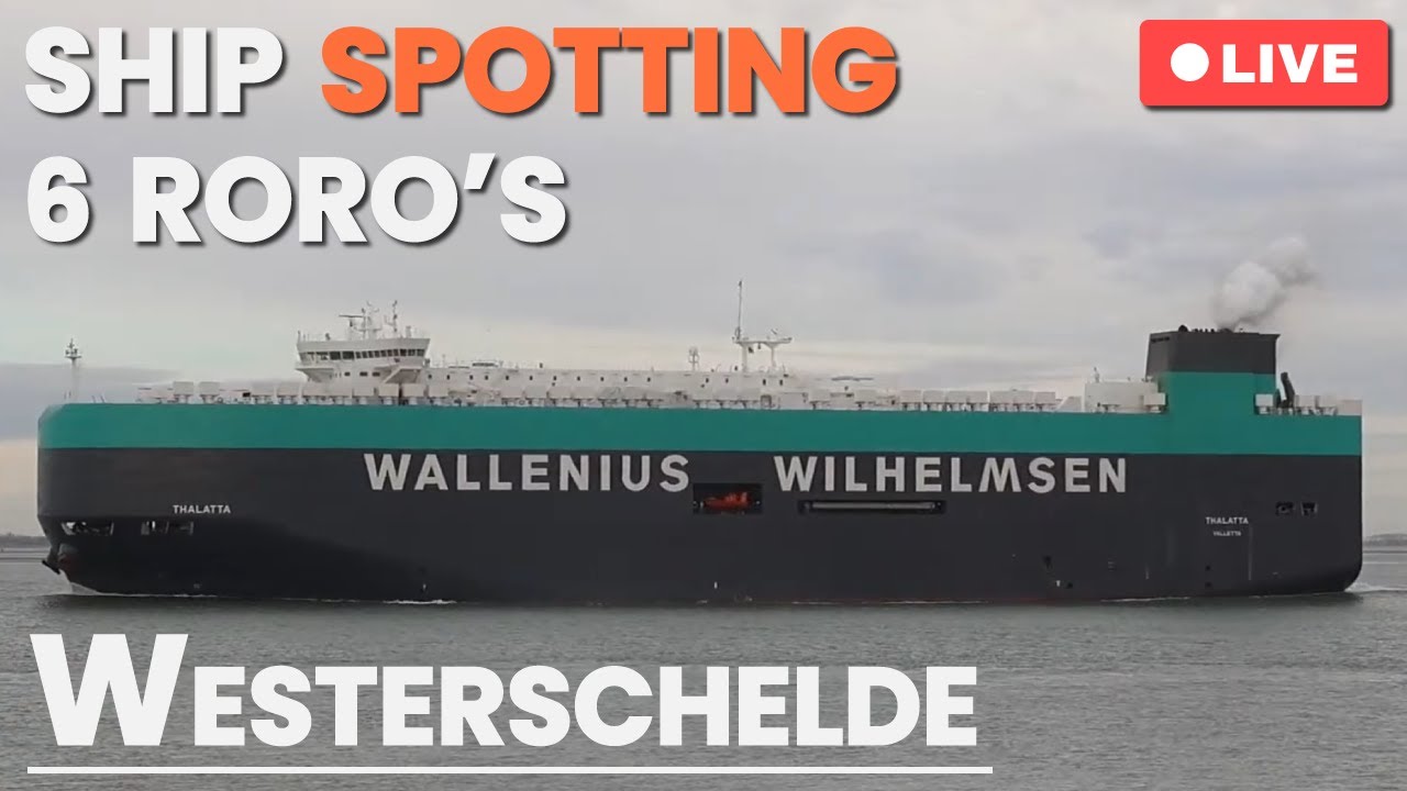 LIVE: 🚢 Roro's & Cargo Ships — Ship spotting at Westerschelde, NL | October 31th, 2025