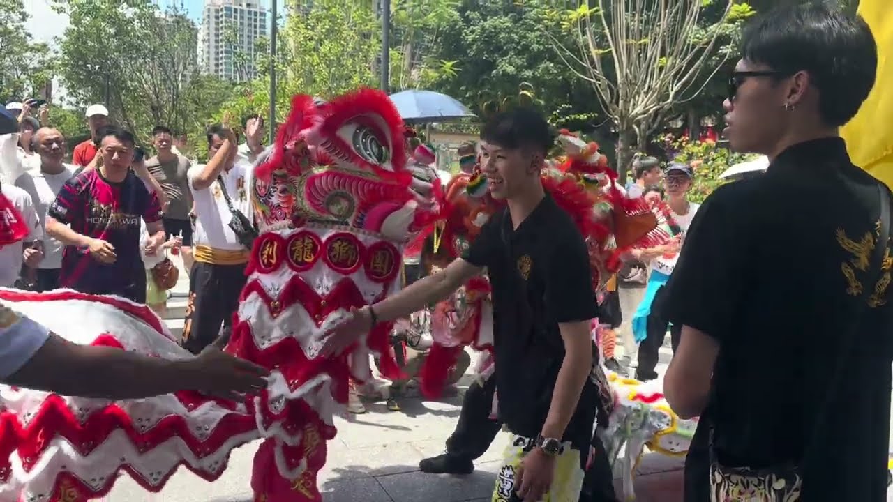 2025#六月廿三 #禪清港澳黃昌國術體育會 （到賀）「#北山蔡李佛勝利龍獅團 80週年會慶」￼