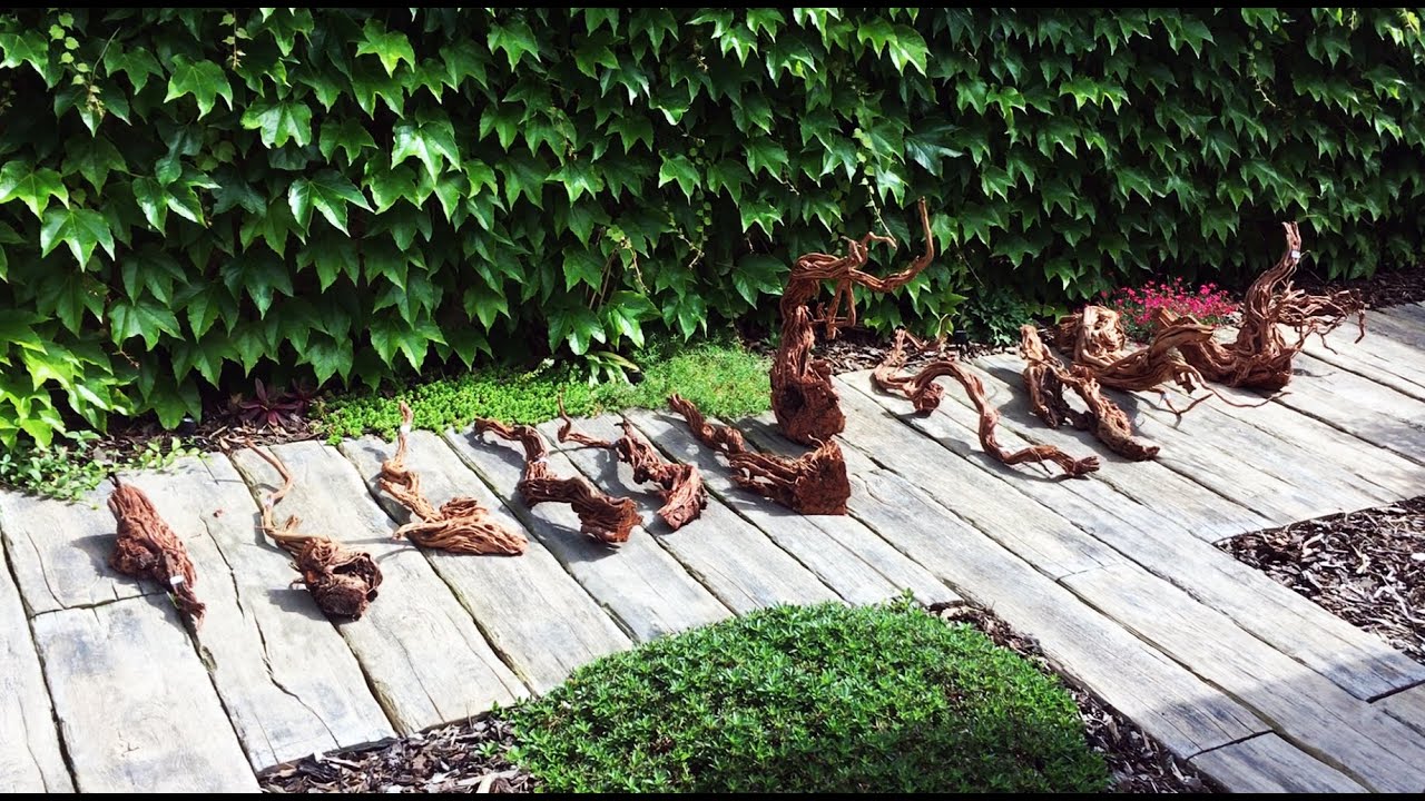 Nabídka na SURPANshop.cz - kořeny do akvária Dragon WOOD (odkaz pod videem) | SURPAN.cz