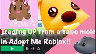 TRADING UP FROM A SADO MOLE IN ADOPT ME!! STARTING ADOPT ME FROM SCRATCH DAY 1!!!!!😨⭐️🌺🏝️#adoptme