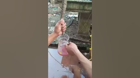 Cắt tiết rắn hổ mang chúa 🌲.