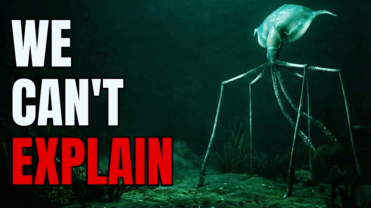 We Were Wrong About The Colossal Squid