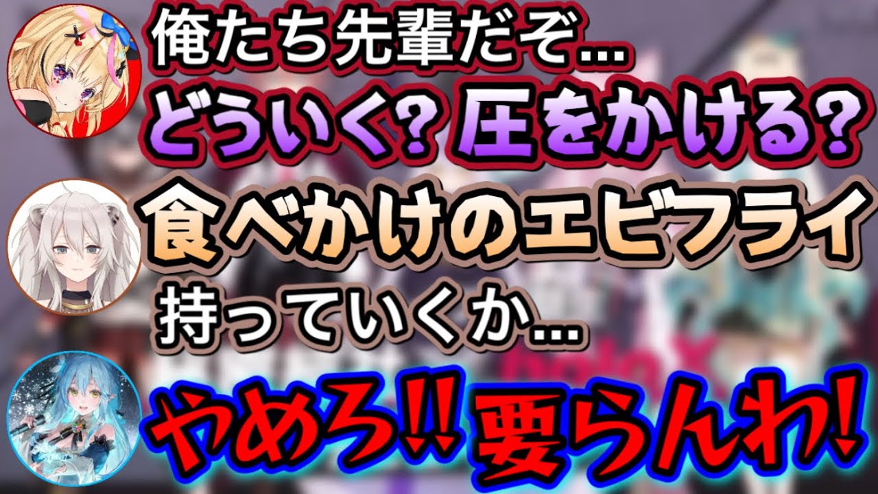 6期生が来て、ウキウキになる3人www【雪花ラミィ,尾丸ポルカ,獅白ぼたん/ホロライブ/切り抜き】