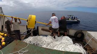 Installing Fish Aggregation Devices (M-FAD) in the Azores | seaExpert - DDeSPAR Project