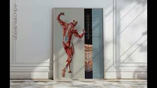 Fascia and Fascial Tissue Layers Anatomy Chart from www.educare.design screenshot 5