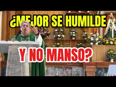 El yugo suave y la carga ligera | Padre Miguel Camacho