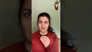 Biber oder Nutria – hättest du's gewusst? 🦫