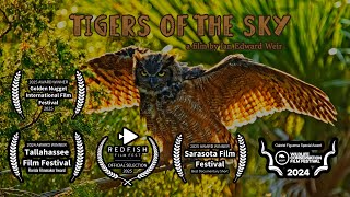 Tigers of the Sky - A film by Ian Edward Weir - 4k