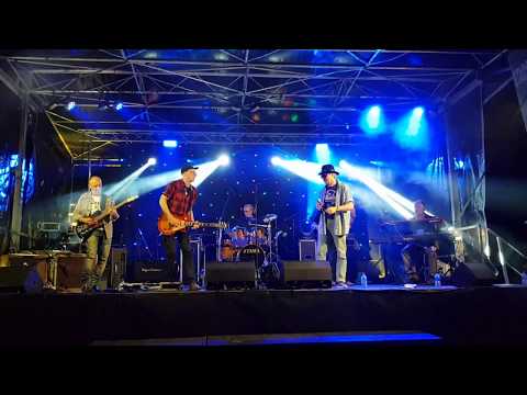 Dizzy Robby & Blues Raiders - Travelin' South