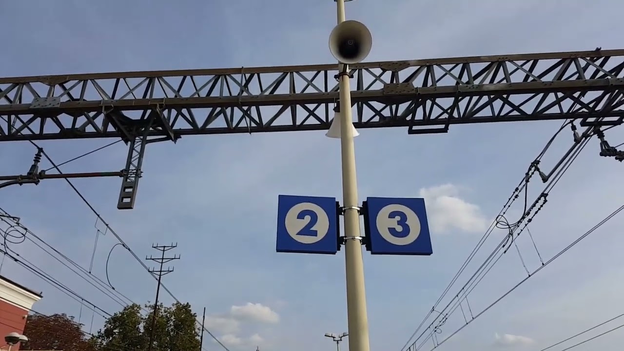 Tutti gli annunci registrati nel 2021