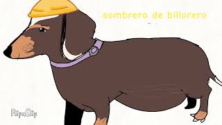 perro salchicha chambea#XD#perro#soyese#yo