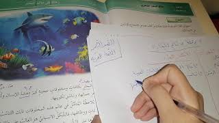 رحلة في عالم البحار.. ١..اللغة العربية.. الصف الثامن