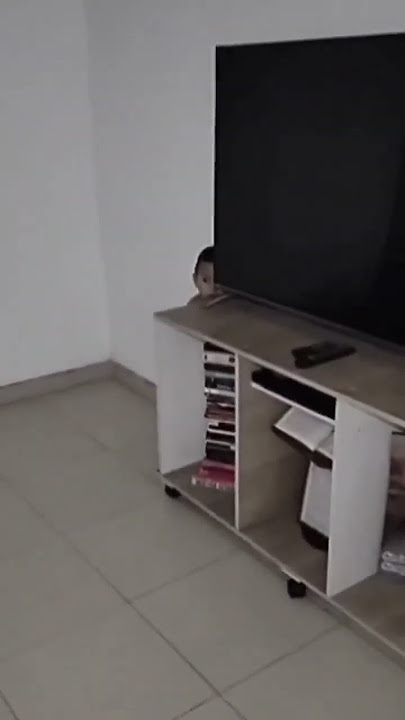 Video paranormal de niño que desaparece al lado de la tele | Portal Paranormal