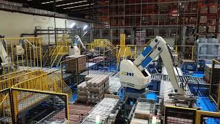 Fuji Case Palletising Robots for FMCG