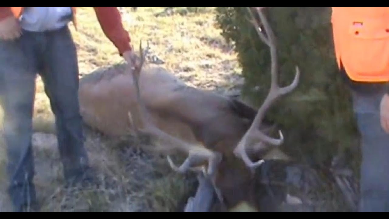 Book Cliffs Limited Entry Elk Hunt 2012