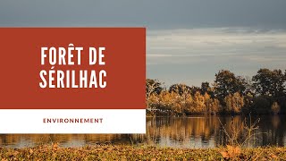 ENVIRONNEMENT - Forêt de Sérilhac