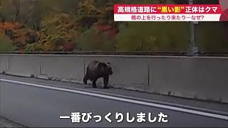 「工事か落下物かなと思ったら…」減速した高規格道路に
