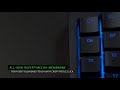 Razer Tartarus V2 Chroma Keypad : video thumbnail 1