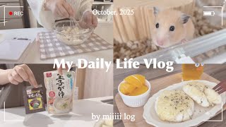 ［Vlog］通院週の4DAYS朝ごはん🍊お昼ごはん🍚🍴｜無理せず副作用と付き合う週🫧