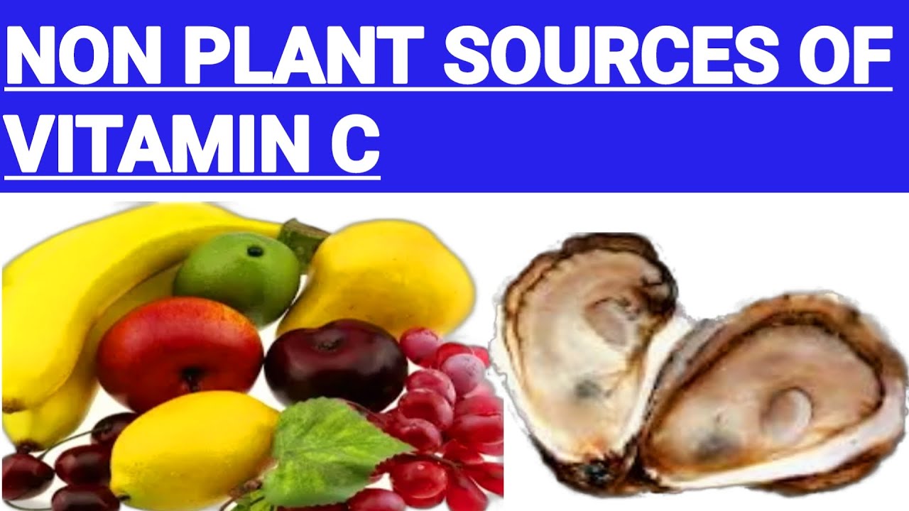 NON PLANT SOURCES OF VITAMIN C|VITAMIN C SOURCES#vitaminc#immunity ...