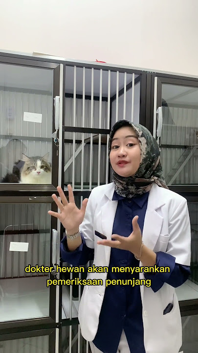 kalau kucing keinjek, aku harus gmna yaa??