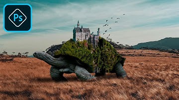 Photoshop Manipulation -  The Tortoise