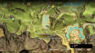 Rare Stripe Wolf Skin I Find It