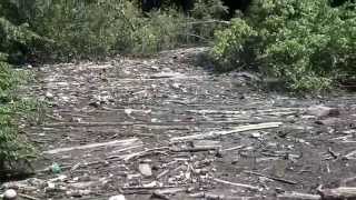 Chattahoochee River: Trash in The River at Powers Island