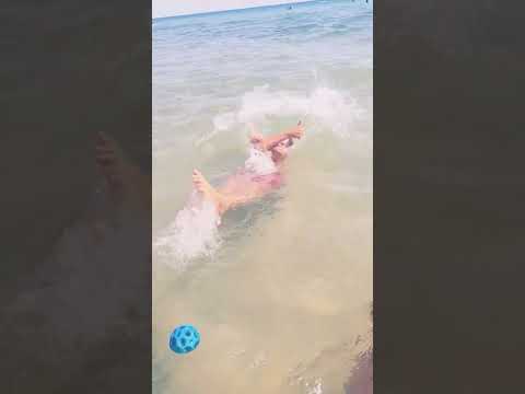 Fake moonballs 👇#funny #shorts #summer #moonball #sea