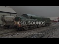Hm118 soundtraxx multisound diesel decoder