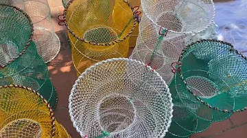 Lồng bát quái, lồng lò xo, lồng ếch, lươn trạch, cá