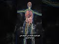 المسموحات مش كلها متكررات للدكتور ضياء العوضي نظام الطيبات Shorts المسموحات مش كلها متكررات للدكتور ضياء العوضي نظام الطيبات Shorts