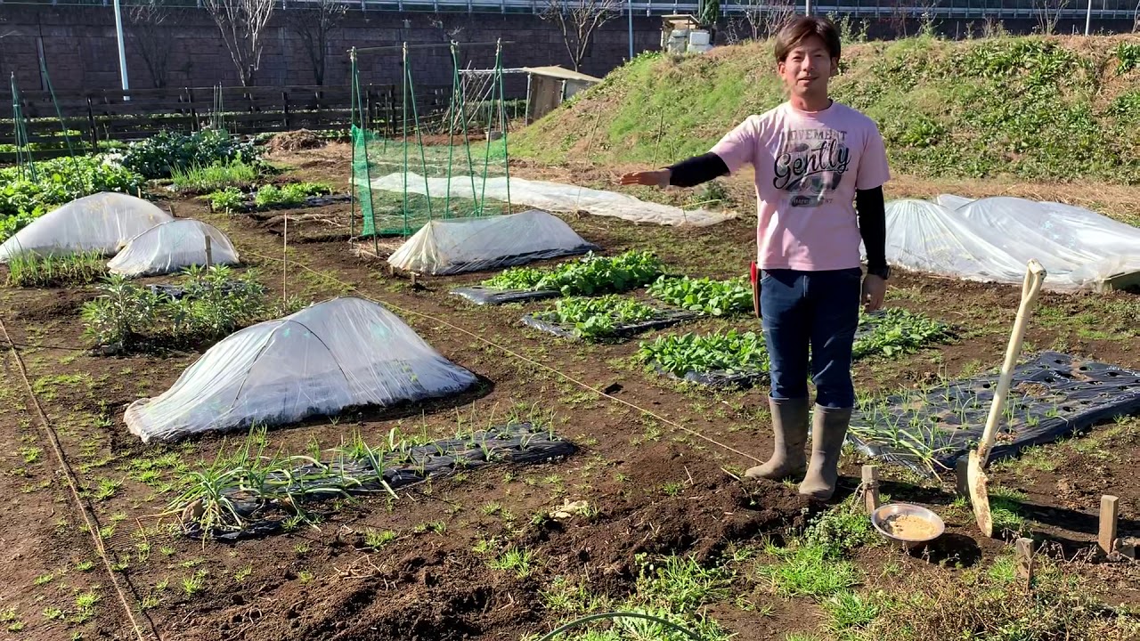 畑会tv 冬の畑の土作り 寒起こし Youtube