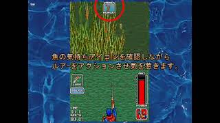 スーパーブラックバス~北半球を釣る~ Amazon | スーパーブラックバス~北半球を釣る~ | ゲームソフト