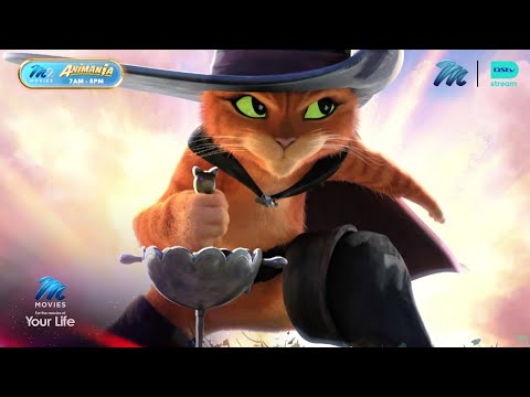 Around the world with Animania | M-Net Movies