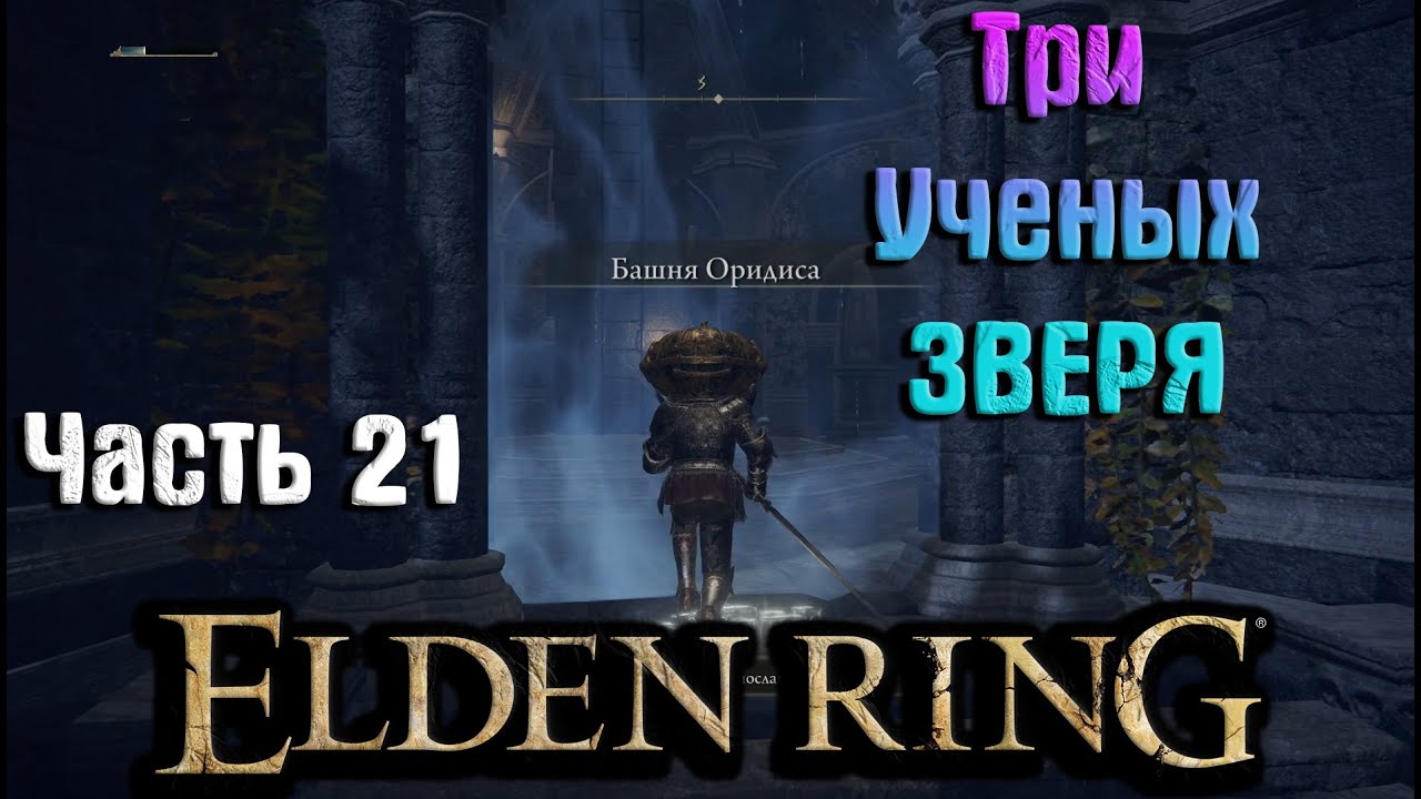 Найдите 3 мудрых зверей. 3 Мудрых зверя elden Ring. Башня оридиса. Разыщите 3 мудрых зверей Элден ринг. Жрец зверь elden Ring босс.