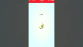 Hatching A 10Km Egg Pokémon Go