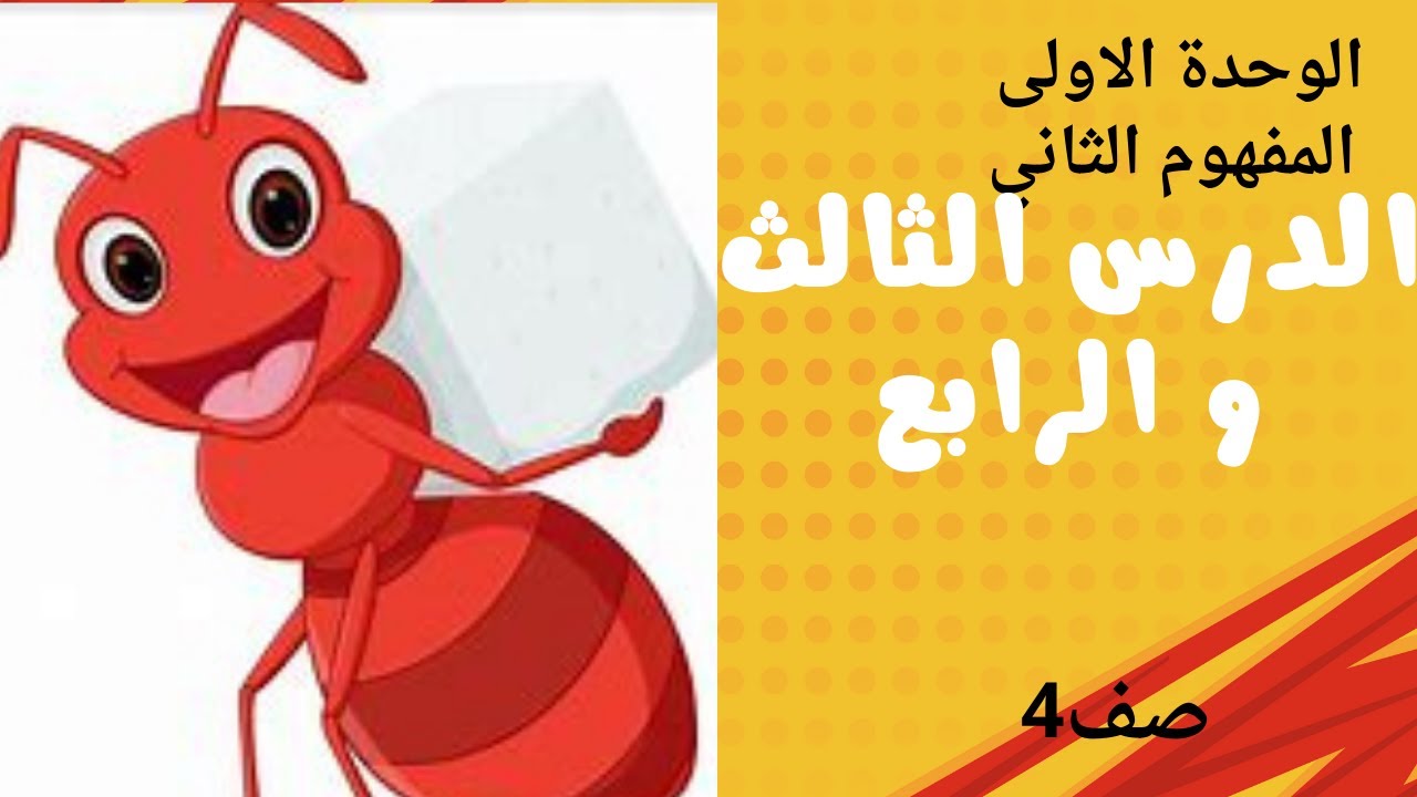 الدرس الثالث والرابع - المفهوم الثاني -الوحدة الاولى صف رابع 2025 - YouTube