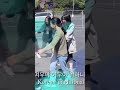 Fox Fox What Are You Doing 여우야 여우야 뭐하니 Korean Traditional Play With Compass Missionaries 박혜림 