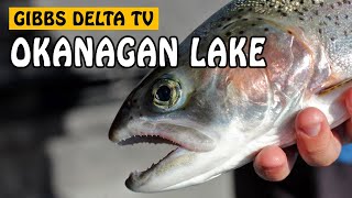 Okanagan Lake Rainbow Trout | Gibbs Delta TV Episode Five