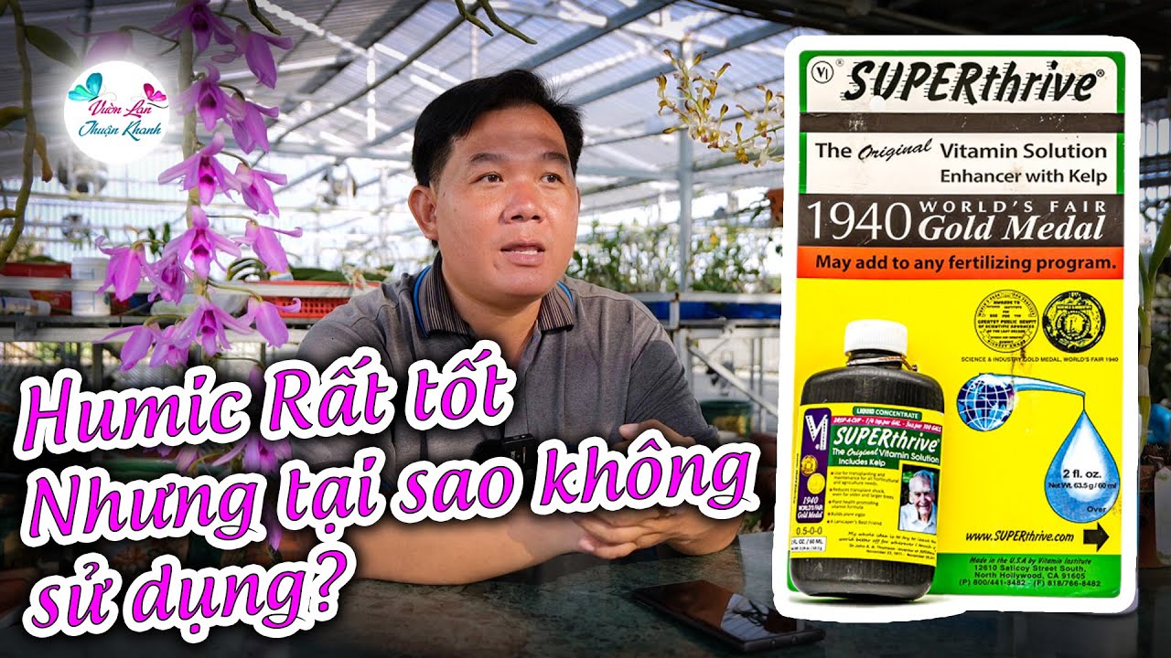 TẠI SAO HUMIC RẤT TỐT MÀ KHÔNG DÁM SỬ DỤNG | NHỮNG LƯU Ý KHI SỬ DỤNG SUPERTHIRVE  #phanbonhuuco