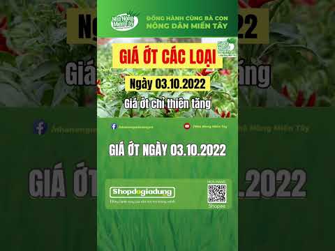 Video Giá ớt hôm nay ngày 03.10.2022 - youtube