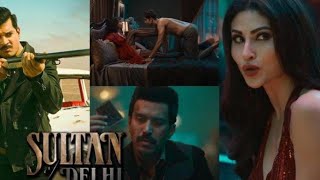 Sultan of Delhi Series 2023 Explained in Hindi Summarized in