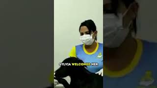 Stray Dog Enters a Vet Clinic Asking For Help