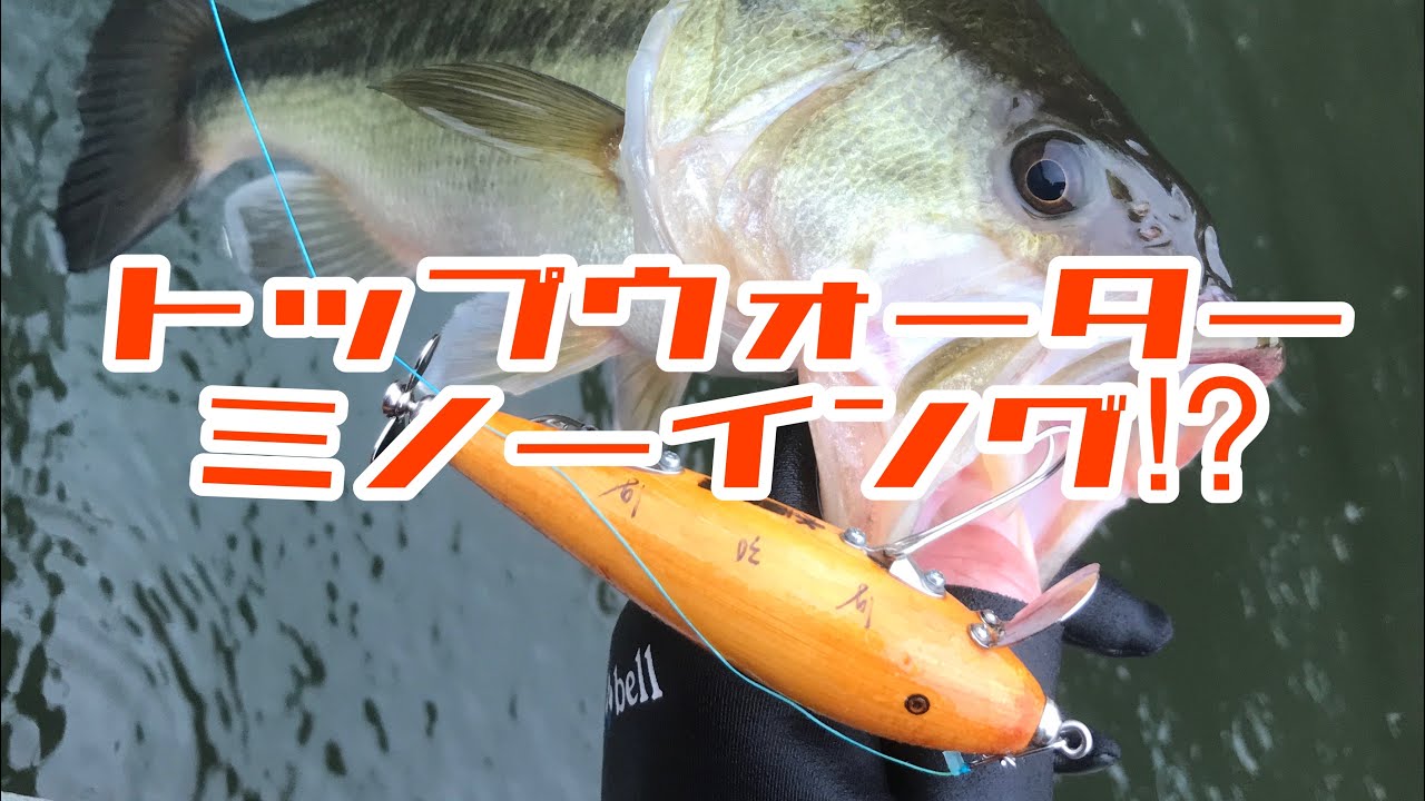 水面奇術 #176 トップウォーター♪ミノーイング❣ - YouTube