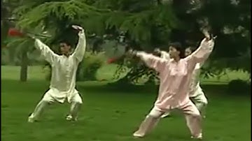 DƯƠNG THỨC THÁI CỰC PHIẾN 18 THỨC - 楊式太極扇18式 18 Form Yang Style Taiji Fan