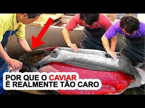 Vídeo: Quanto Custa Caviar Preto