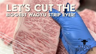 Let’s cut the biggest Japanese Wagyu Strip we have ever seen at Alpine Butcher! A5 BMS12