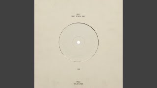 mole - WHAT KINDA BAG?